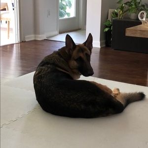 Meet your Posher, Arbi